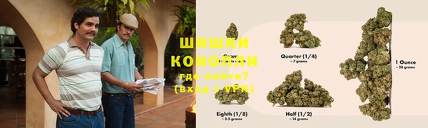 дживик Надым
