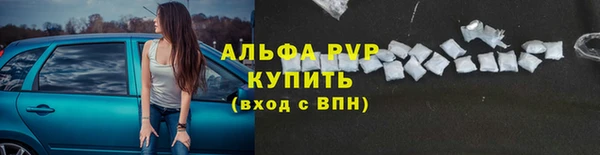 стафф Нефтегорск