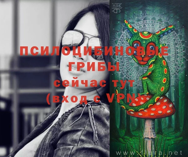 дживик Надым