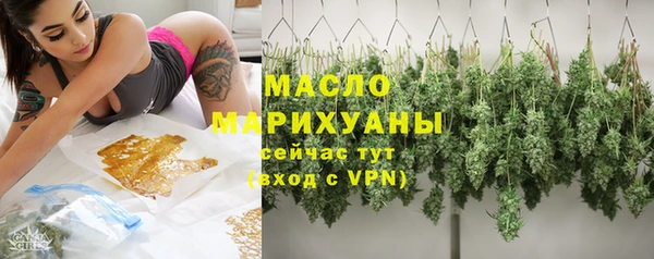 дживик Надым