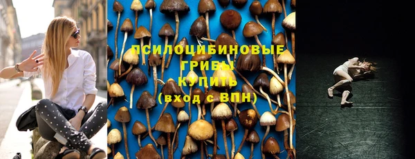 амф Нефтекумск